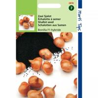 Zaden Sjalot Bonilla vhCreation F1 Hortitops - Hortitops - thumbnail