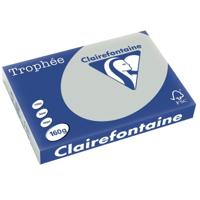 Clairefontaine Trophée Pastel, gekleurd papier, A3, 160 g, 250 vel, lichtgrijs - thumbnail