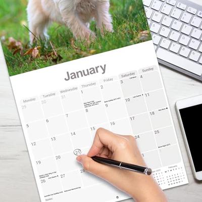 Tibetaanse Terrier Kalender 2026