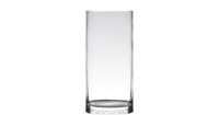 Hakbijl Glass Vaas - cilinder - glas - transparant 12 x 35 cm - thumbnail