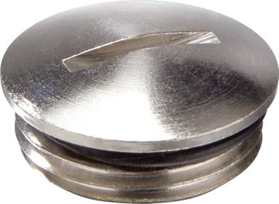 Wiska 10065082 EMVS-ORD 20 Blindstop Slagvast M20 Metaal Natuur 100 stuk(s)