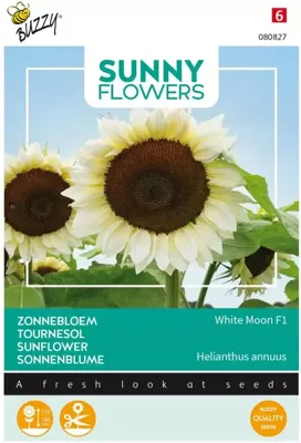 Sunny Flowers, Zonnebloem White Moon of Night zaden Buzzy - Buzzy