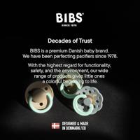 BIBS Glow Fopspeen 0-6 Maanden Anatomic Sage/Cloud - thumbnail