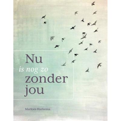 Nu is nog zo zonder jou (Paperback) Nu is nog zo zonder jou (Paperback)