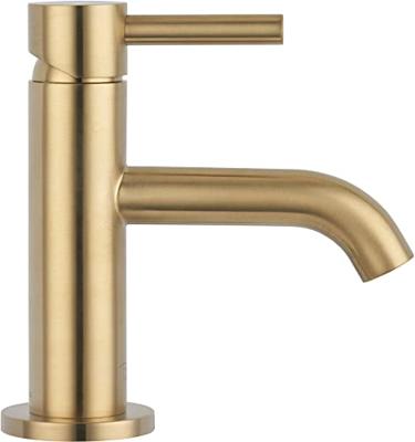 Ben Lavion fonteinkraan met greep geborsteld messing pvd