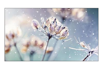 Samsung LH46VMRUBGBX/EN - VMR-U Video Wall 116,8cm. (46inch)