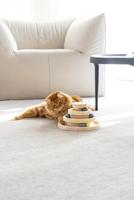 Designed By Lotte speeltoren Mia - thumbnail