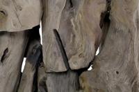 HSM - HSM Collection-Kamerscherm Root-80x30x215-Naturel-Teak - thumbnail