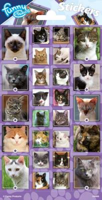 Totum Stickervel katten