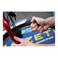 Hazet 829KK-6 Inbusschroevendraaier Sleutelbreedte (metrisch): 6 mm Koplengte: 200 mm Afmeting, lengte: 234 mm - thumbnail