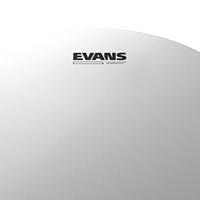 Evans B14G1RD 14 inch Power Center Reverse Dot snaredrumvel - thumbnail