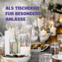 Milli-Max glasblokjes 1000x26x2 mm 1000 st. - thumbnail