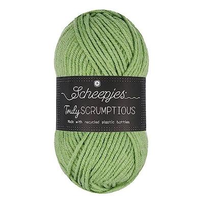 Scheepjes Truly Scrumptious - 318 Pistachio Bun. Cake