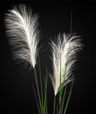 Pampasgras kunsttak 120cm - creme Pampasgras kunsttak 120cm - creme