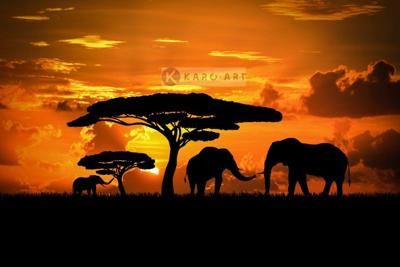 Afbeelding op acrylglas - Olifanten familie bij zonsondergang