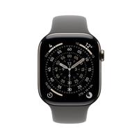 Apple Watch Series 11 GPS + Cellular - 46 mm - Natuurlijke titanium kast - Steengrijze sportband - M/L - thumbnail