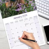 Teckel Langhaar Kalender 2026 - thumbnail