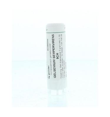 Homeoden Heel Gelsemium sempervirens 9CH 6 Gram Homeoden Heel Gelsemium sempervirens 9CH 6 Gram