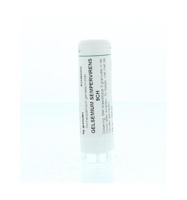 Gelsemium sempervirens 9CH - thumbnail