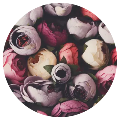 Vintage bloemen - Muurcirkel sticker Vintage bloemen - Muurcirkel sticker