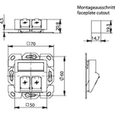 Telegärtner 100021417 Netwerkdoos Inbouw (in muur) Inzet met centraalstuk Zonder connectoren 2 poorten Alpine-wit Telegärtner 100021417 Netwerkdoos Inbouw (in muur) Inzet met centraalstuk Zonder connectoren 2 poorten Alpine-wit