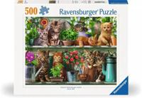 Ravensburger Legpuzzel katjes in het rek, 500st. - thumbnail