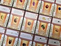 Apiary Expanding the Hive - thumbnail