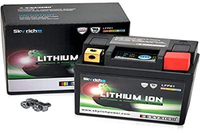 Skyrich lifepo4 batterij "lfp01". battery lfp01-i lithium