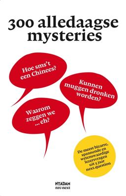 300 alledaagse mysteries - Juliette Vasterman - ebook