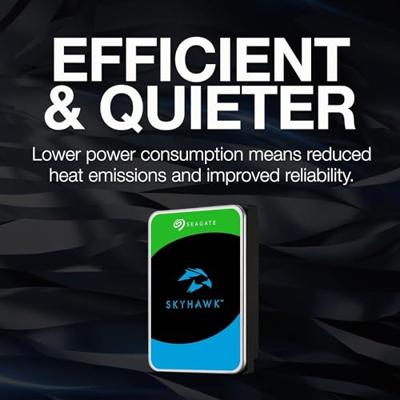 Seagate HDD 3.5 SkyHawk 6TB