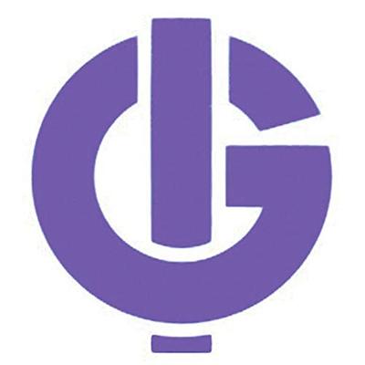 Igarashi 20GN152025-330-GC384:1 Transmissiemotor 12 V 384:1