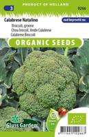 Broccoli Groene Calabrese Natalino - thumbnail