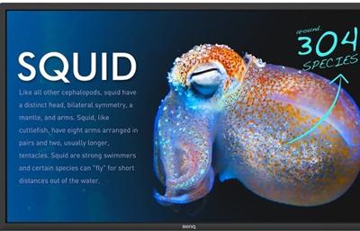 LINDY 41940 VGA-kabel Aansluitkabel VGA-stekker 9-polig, DisplayPort-stekker 0.50 m Zwart