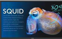 LINDY 41940 VGA-kabel Aansluitkabel VGA-stekker 9-polig, DisplayPort-stekker 0.50 m Zwart - thumbnail