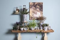 Clayre & Eef Bloempot Ø 18x17 cm Blauw Beige Keramiek Rond Bloemen - thumbnail