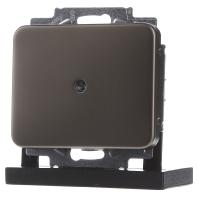 ABB 1742-21 Blindafdekking Afdekking Platina 1 stuk(s) - thumbnail