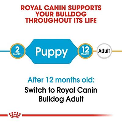 Royal Canin Puppy Bulldog hondenvoer 12 kg - thumbnail