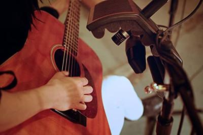 SE Electronics guitaRF reflectiefilter SE Electronics guitaRF reflectiefilter