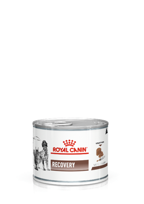 ROYAL CANIN Recovery - Nat honden honden en kattenvoer - 195g