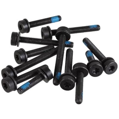 Magura flatmount screw set for rear wheel
