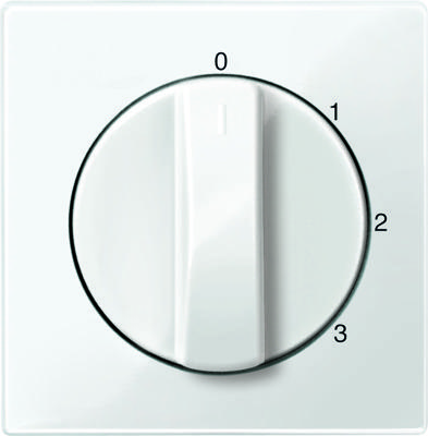 Merten centraalplaat voor driestandendraaischakelaar MTN567219