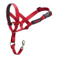 Trainingshalsbanden voor honden Company of Animals Halti Muilkorf (35-48 cm) - thumbnail