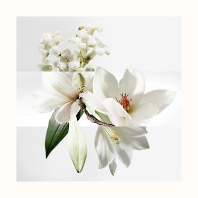 Hermès - Hermes Un Jardin Sur La Lagune Eau de toilette Spray 50 ml Hermès - Hermes Un Jardin Sur La Lagune Eau de toilette Spray 50 ml