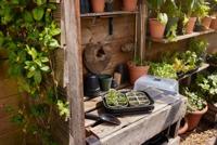 Elho Green Basics zaaitray 22cm steengroen - thumbnail