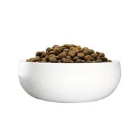 Voer Green Petfood InsectDog Sensitive 10 kg Rijst - thumbnail