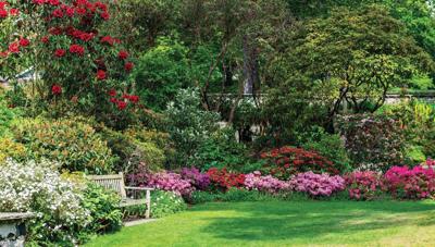 Bloementuin 130x70cm Tuinschilderij Customize-it - Customize it Bloementuin 130x70cm Tuinschilderij Customize-it - Customize it