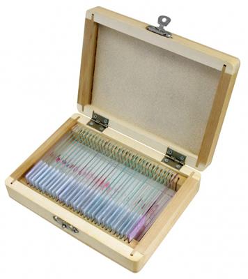 Bresser Microscoop preparaten 30 stuks: Dieren