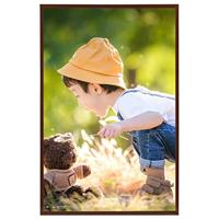 VidaXL Fotolijsten 5 st voor wand of tafel 59,4x84 cm mdf bronskleurig - thumbnail