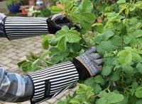 Keron Rozen brandnetelhandschoen mt10xl rosegarden lange manchet - thumbnail