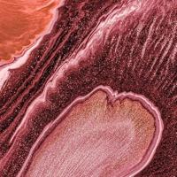 Noordwand Komar Ink Fotobehang Mélange - INX4-075 - thumbnail